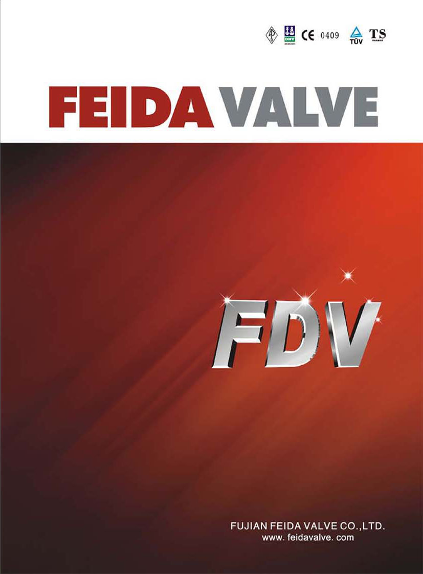 _(d)yT FUJIAN FEIDA VALVE